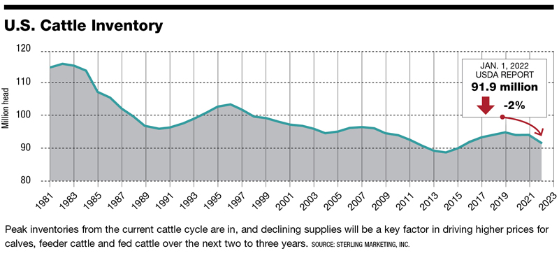 US Cattle Inventory