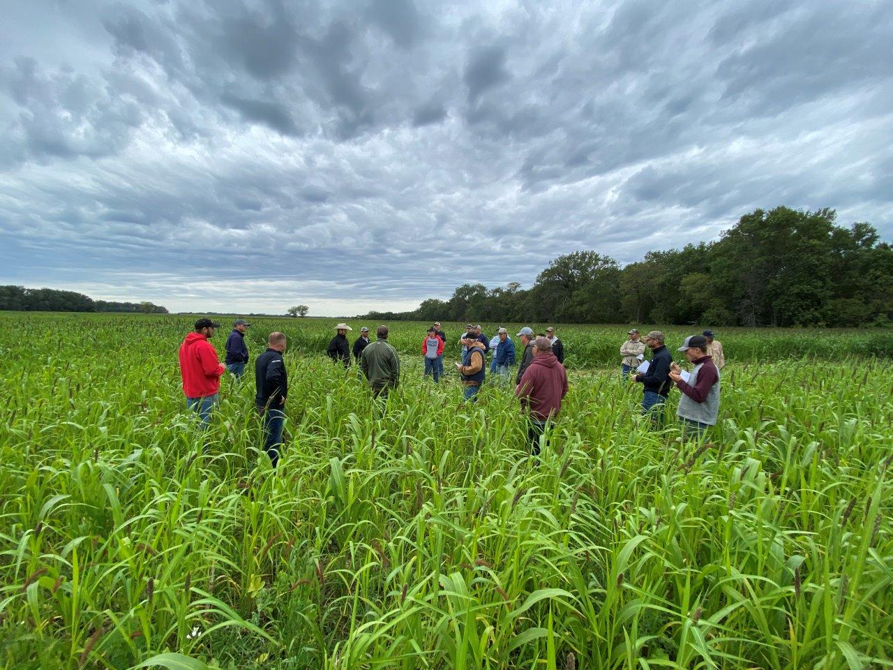 3 Insights About Farmer-To-Farmer Learning Communities