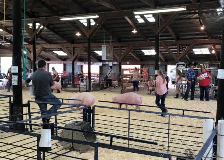 Adopt A Pig Program and Wakefield Pork