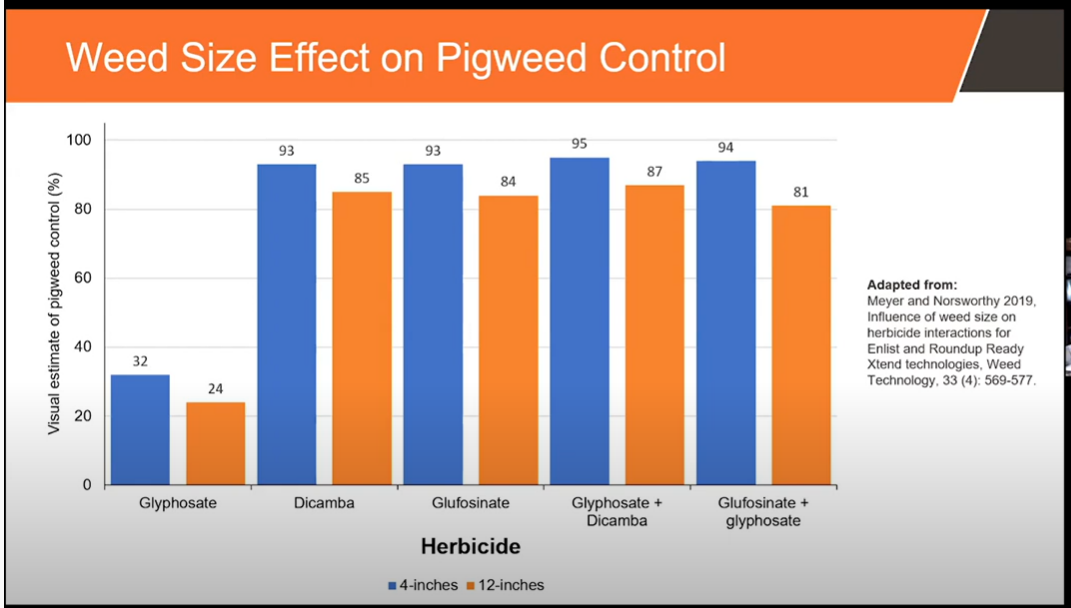 weed size and control