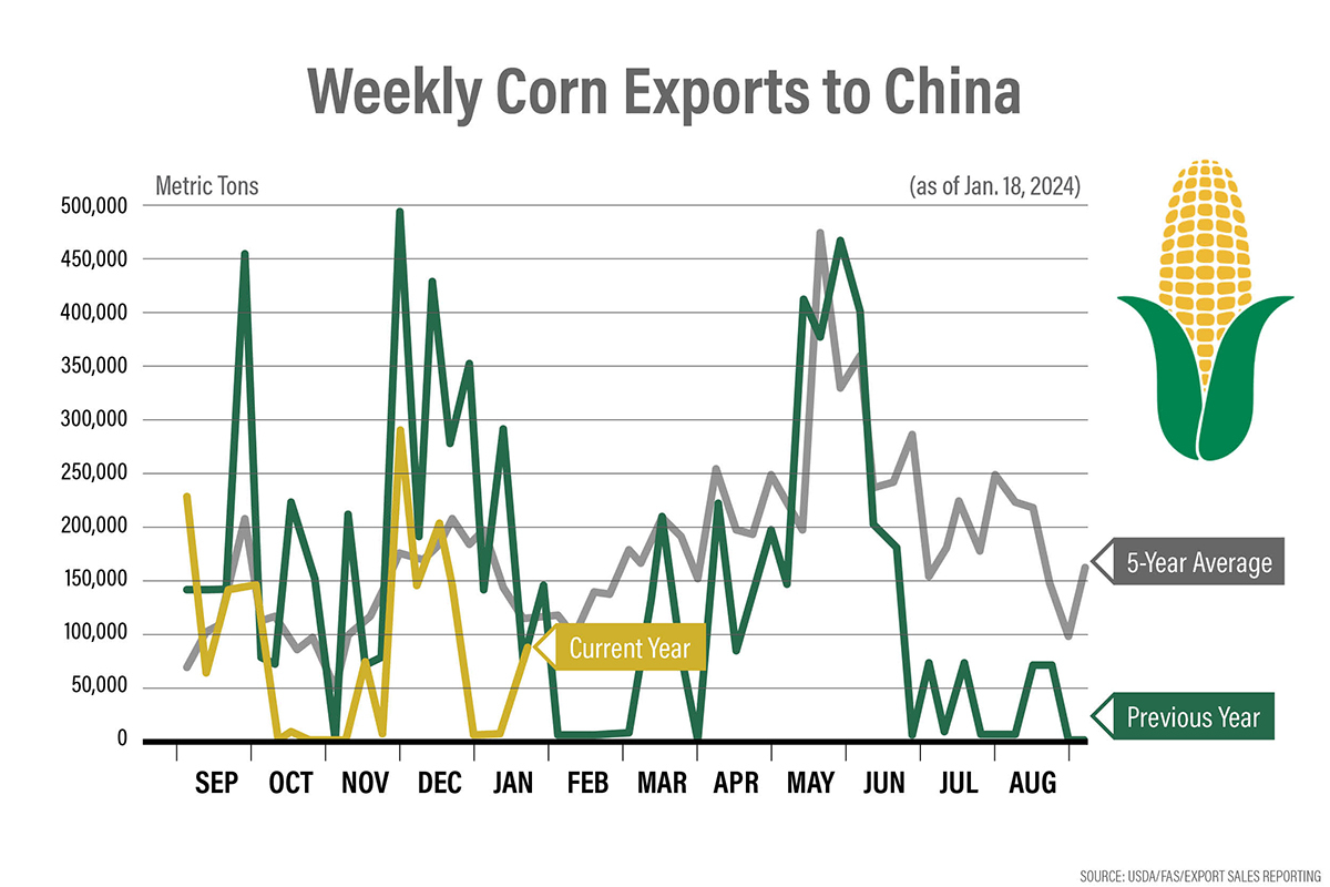 Weekly Corn Exports to China
