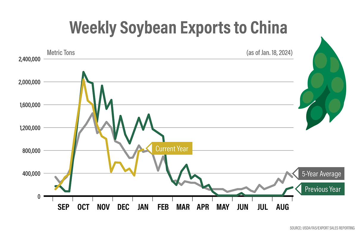 Weekly Soybean Exports to China