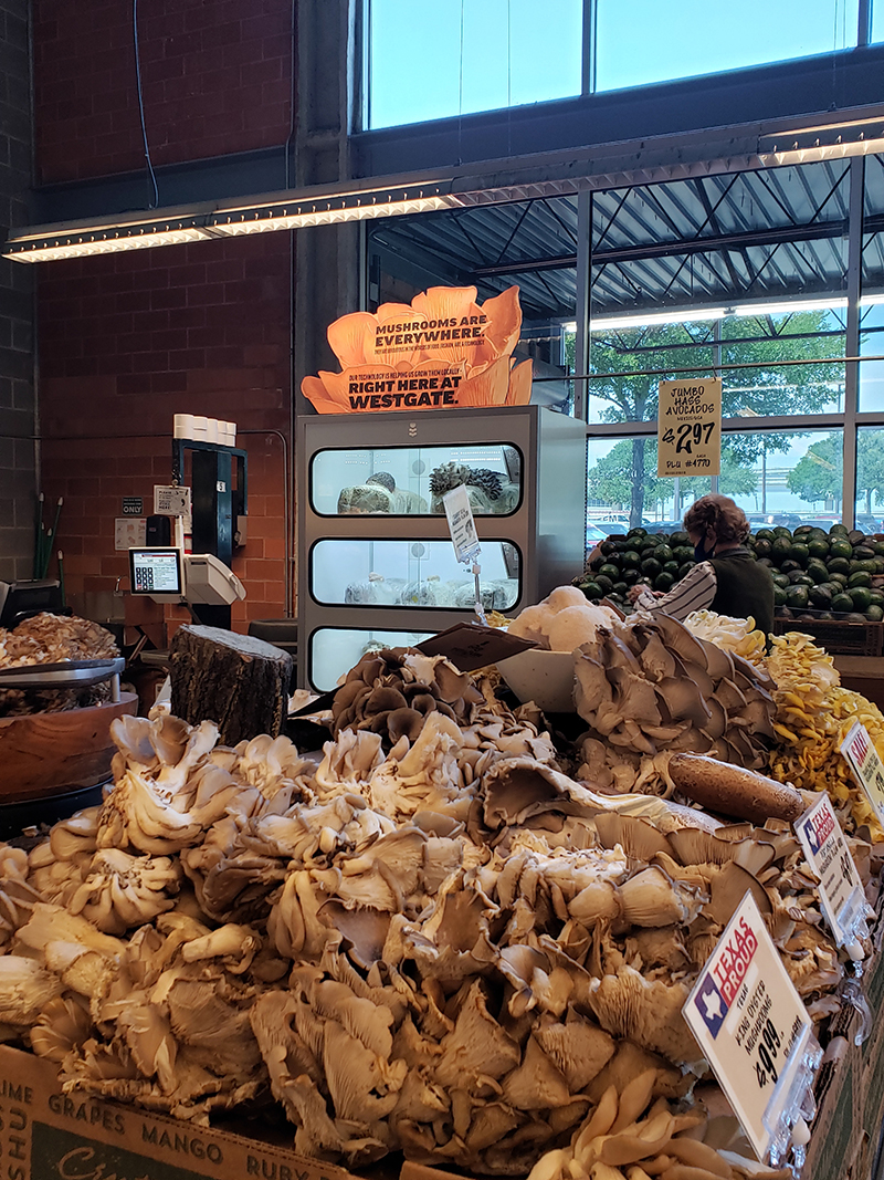 Smallhold Announces Nationwide Expansion with Whole Foods Market
