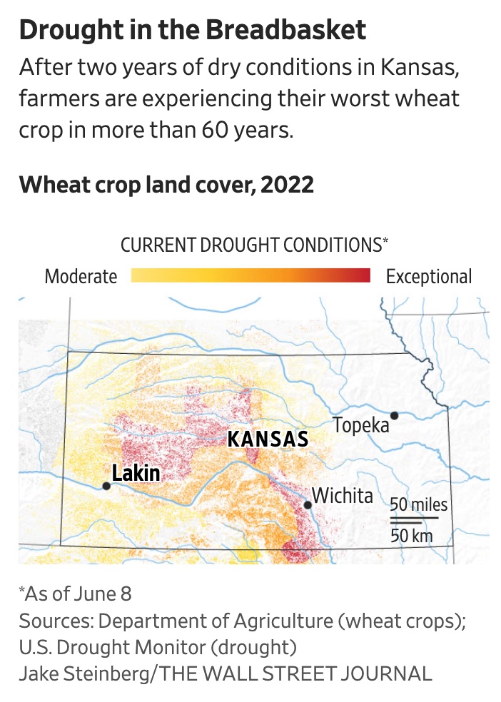 Wheat drought