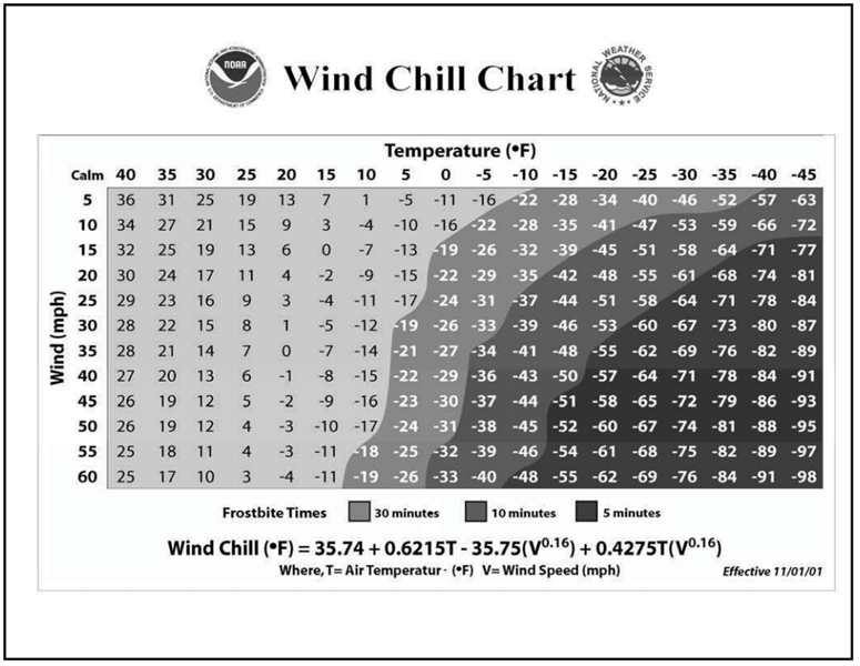 Cold Weather Feeding Considerations | Drovers