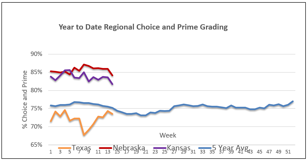 Year to Date Regional Choice and Prime Grading Graph