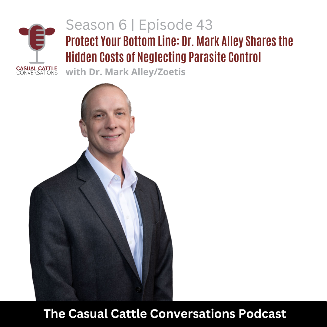 Zoetis - Casual Cattle Conversations