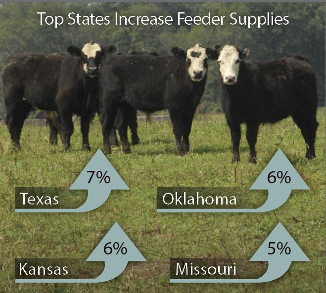 feeder_supply_increase_states