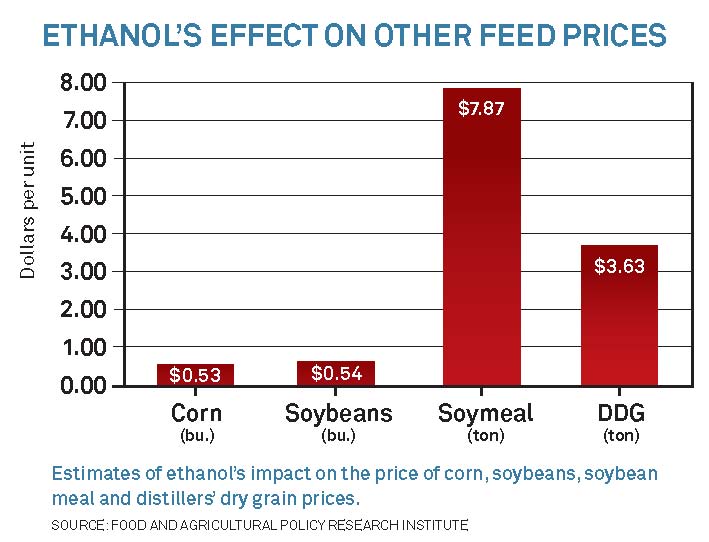 ethanol feed prices