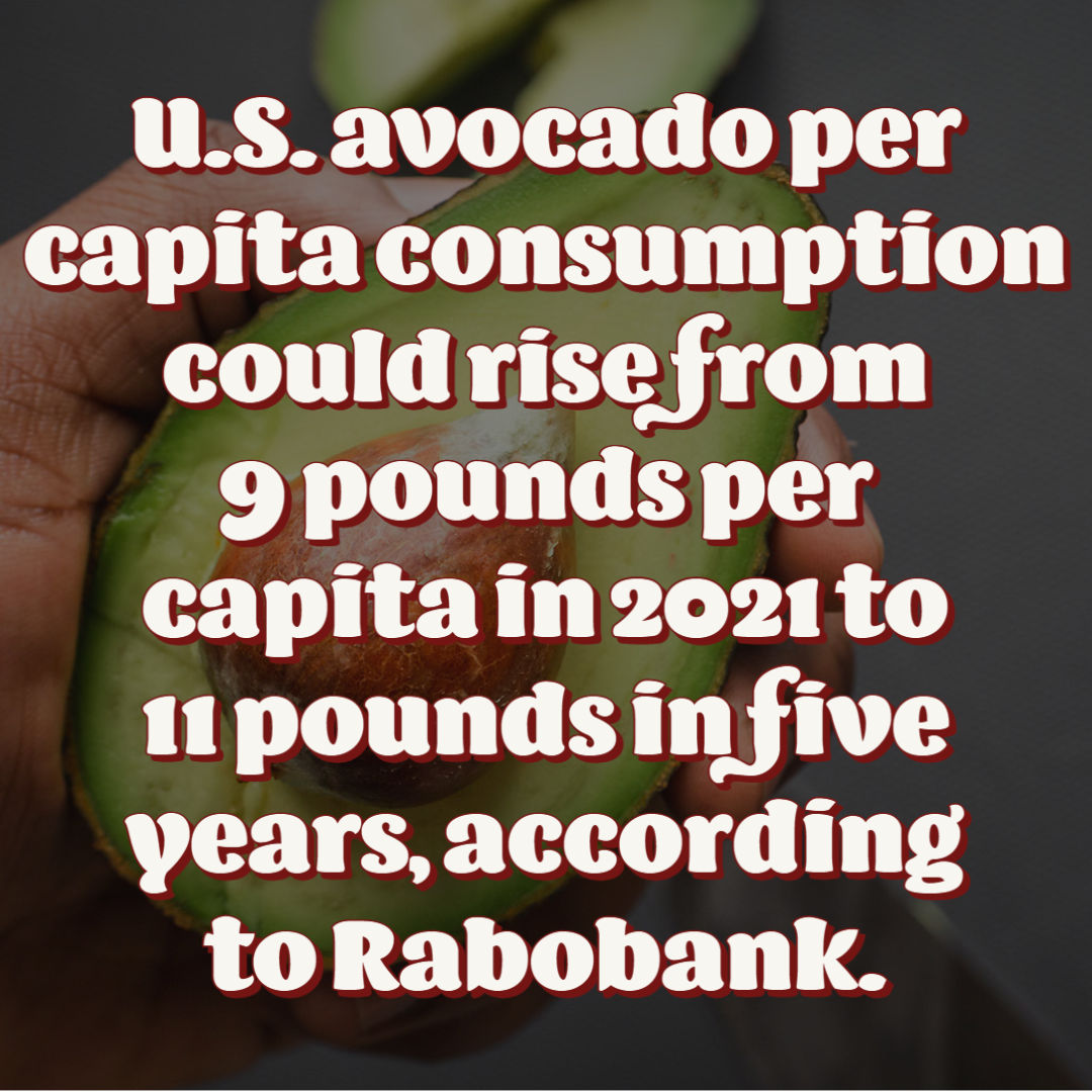 U.S. avocado per capita consumption could rise from 9 pounds per capita in 2021 to 11 pounds in five years.