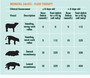 calf fluid chart