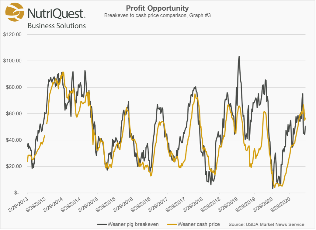 Cash Feeder Pig Prices Average 90.38, Up 0.17 Last Week Pork Business