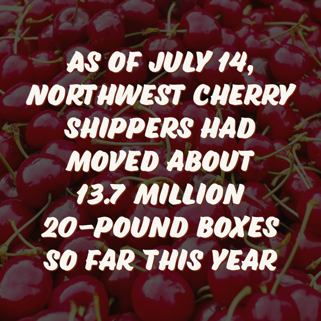 Cherry stats