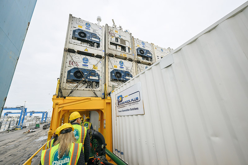 Chiquita expands shipping fleet