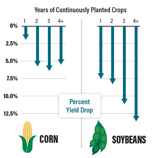 continuous crop yield impact