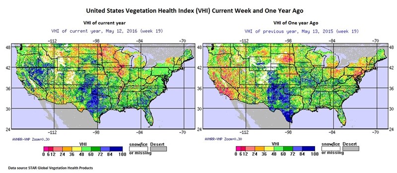 Drenching Rain in Great Plains Boosts Wheat, Strong Midwest Warming | AgWeb