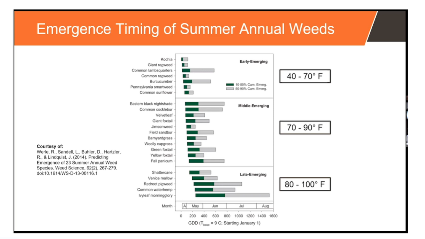 emergence timing of summer annual weeds