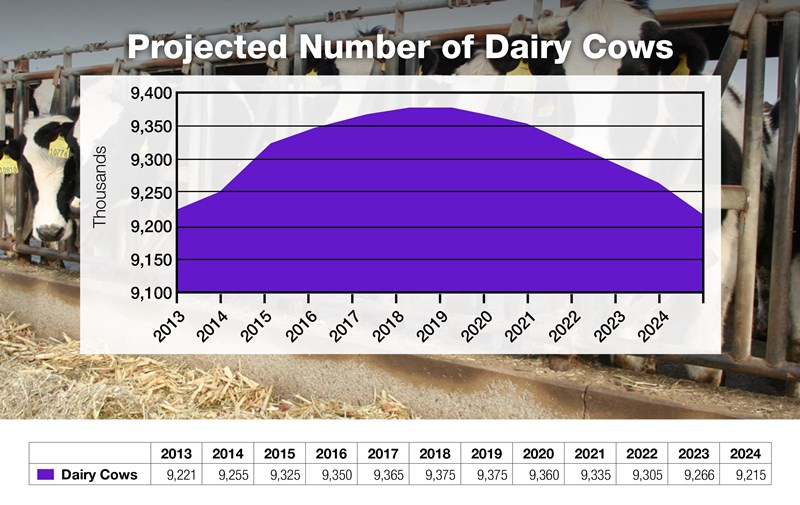 6-Projected-Number-of-Dairy-Cows