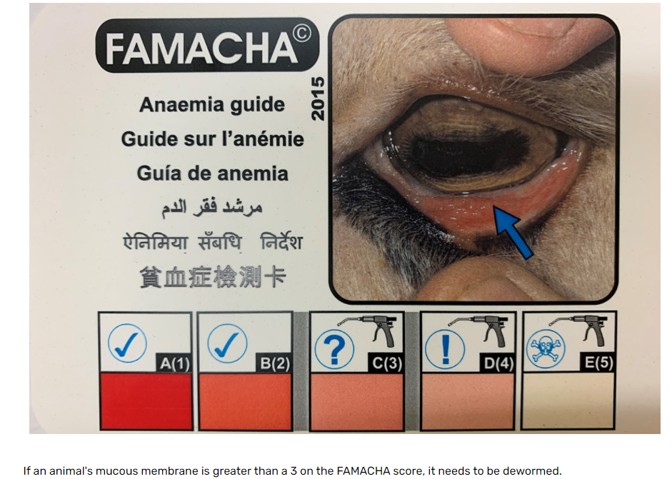 SHEEP NASAL BOT - Haryana Veterinary Services Association