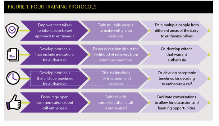 training protocols one