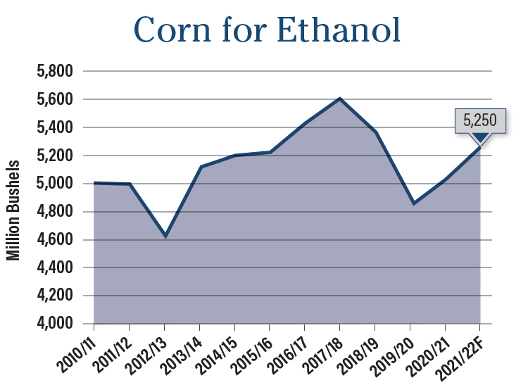 corn for ethanol
