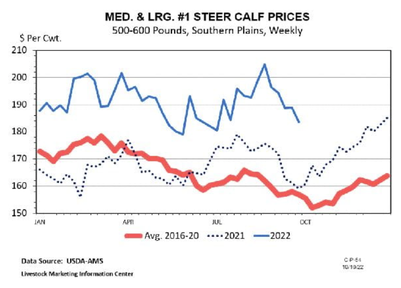 Steer Calf Prices Graph