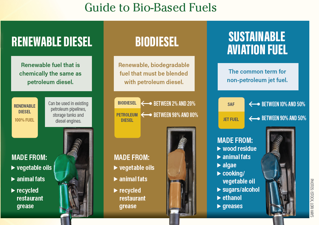 types of bio-based fuels