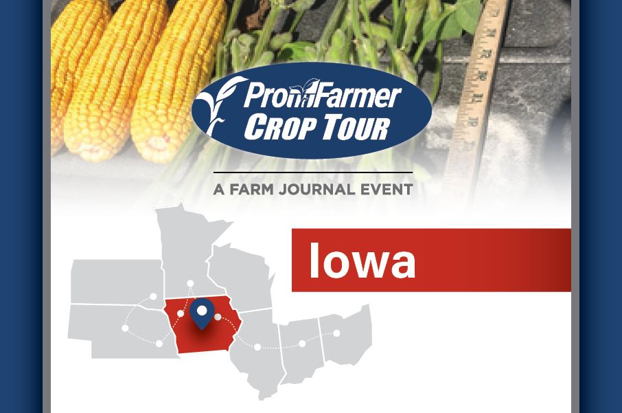pro farmer Iowa 