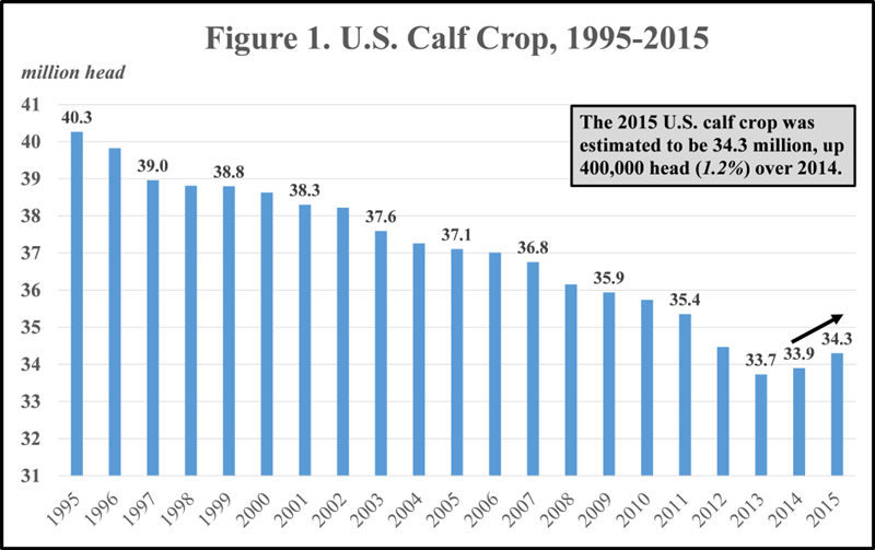 U.S.-Calf-Crop-1024x644