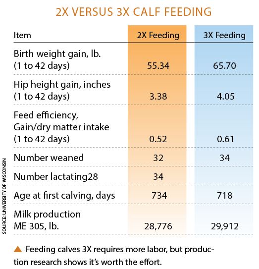 Cow Feeding Chart