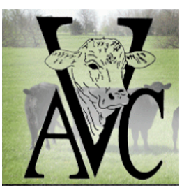 avc logo