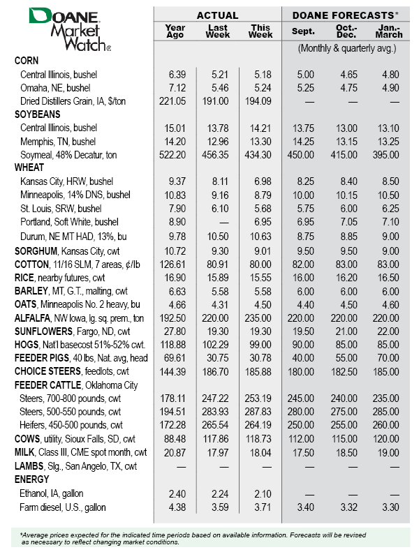 Market-Watch-Table-Aug17
