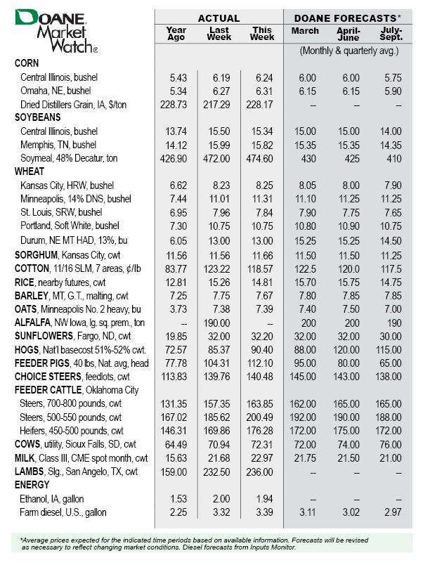 Market-Watch-Table-Feb17