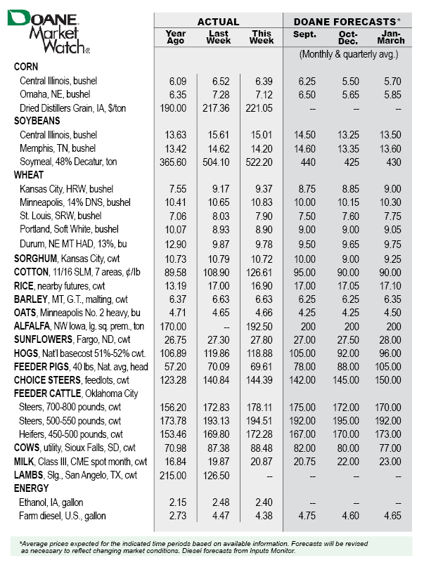 Market-Watch-Table-Aug18