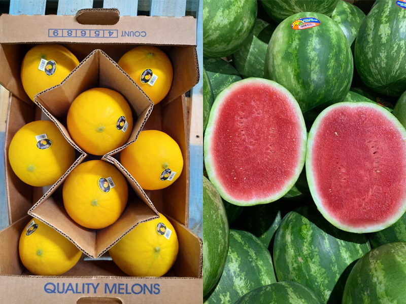 Two photos of melons