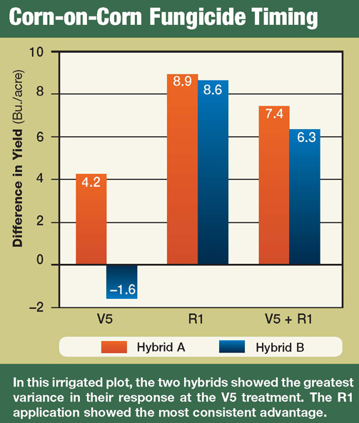 Test Plot Roundup AgWeb