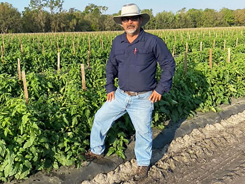 Farm manager Marcos Rojas checks out the spring crop from West Coast Tomato LLC.
