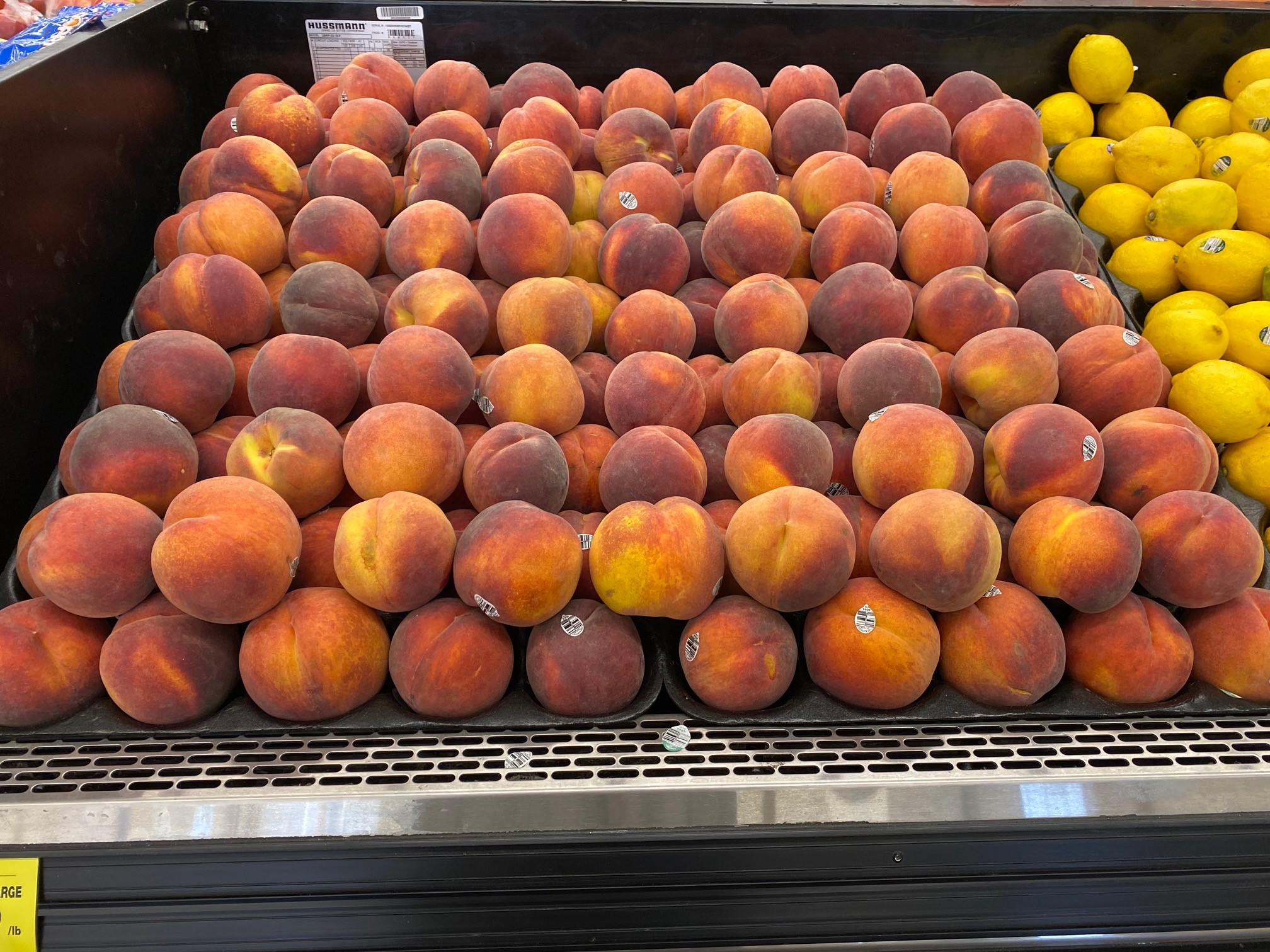 Symms peaches
