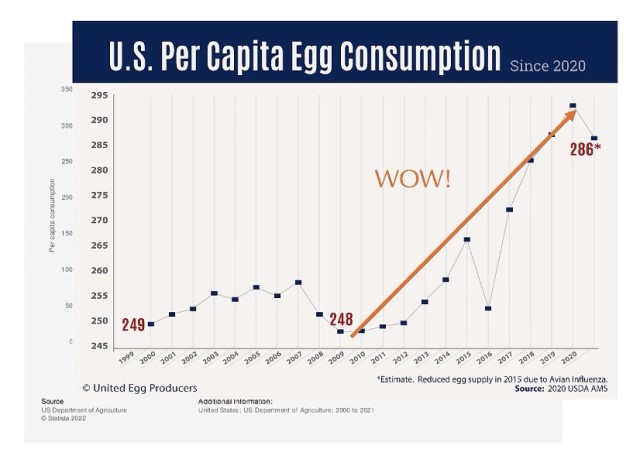 Egg Prices Are Now Up 70%, But Have Prices Peaked? 