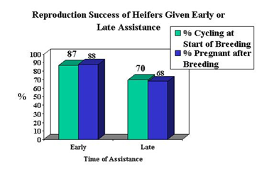 chart1