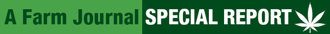 Special report