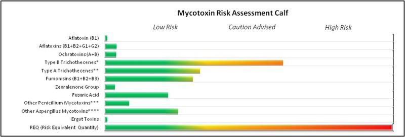 Mycotoxin Risk Assement Calf