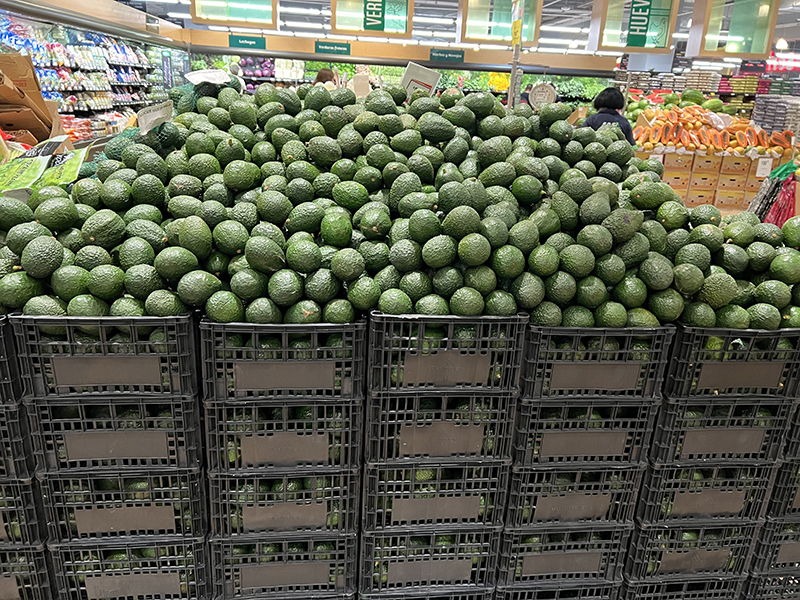 Soriana avocado display