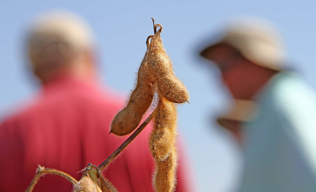 Matt Brincks grows soybeans and corn in Iowa