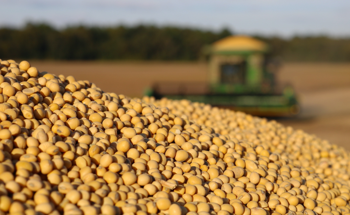 Matt Brincks soybean harvest, northeast Iowa