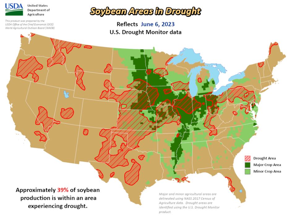 soybean drought