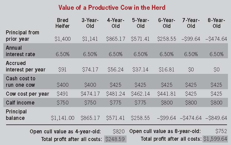 productive cow value