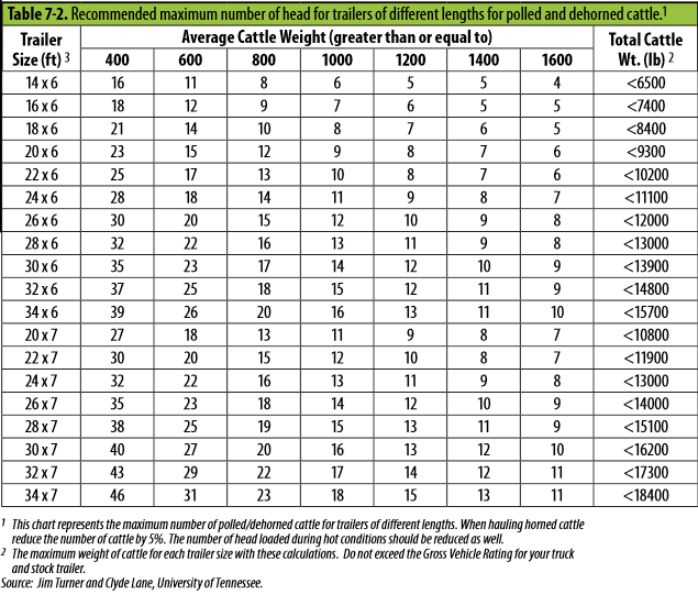 Protect Beef Quality with Proper Cattle Hauling Practices | Drovers