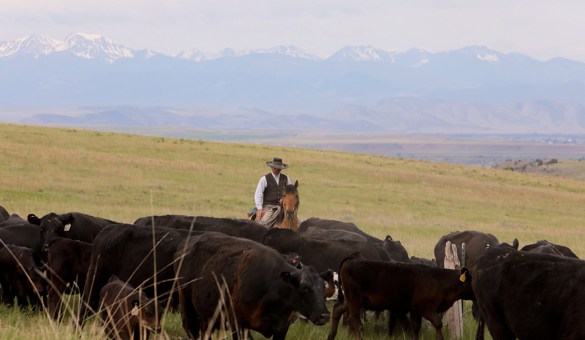 Sale of ranch asking $136.25 million breaks Montana record, agent