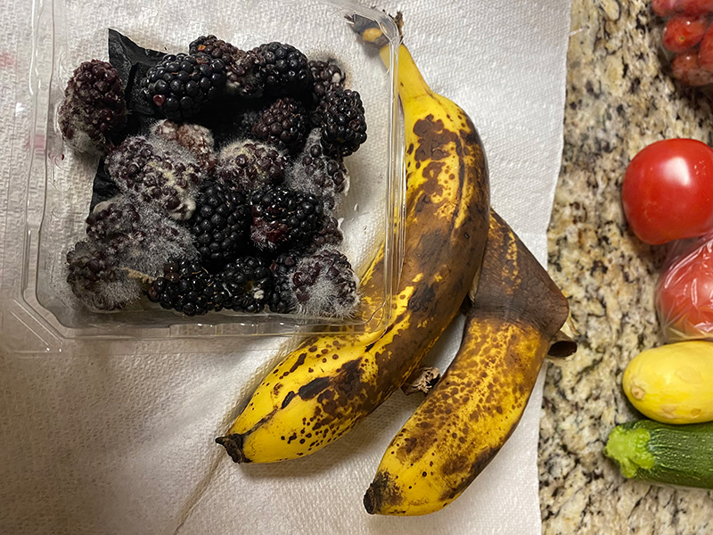 Blackberries and bananas that have become food waste